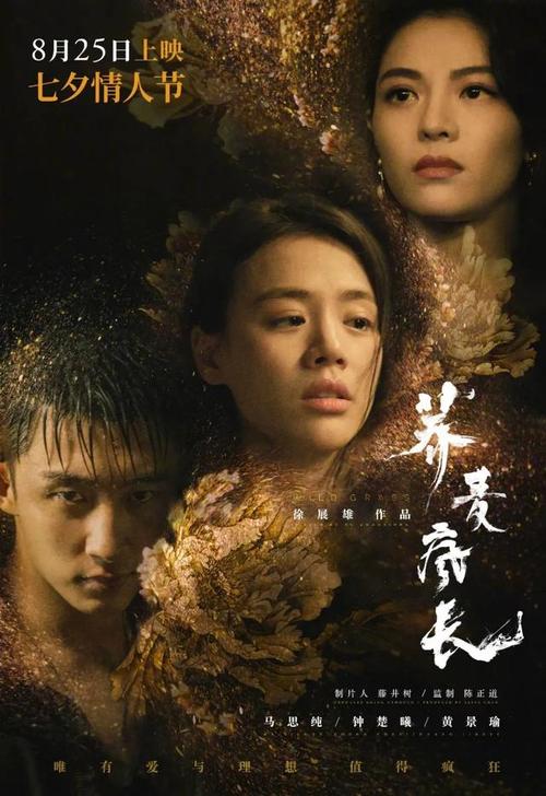 基尔大学成绩单